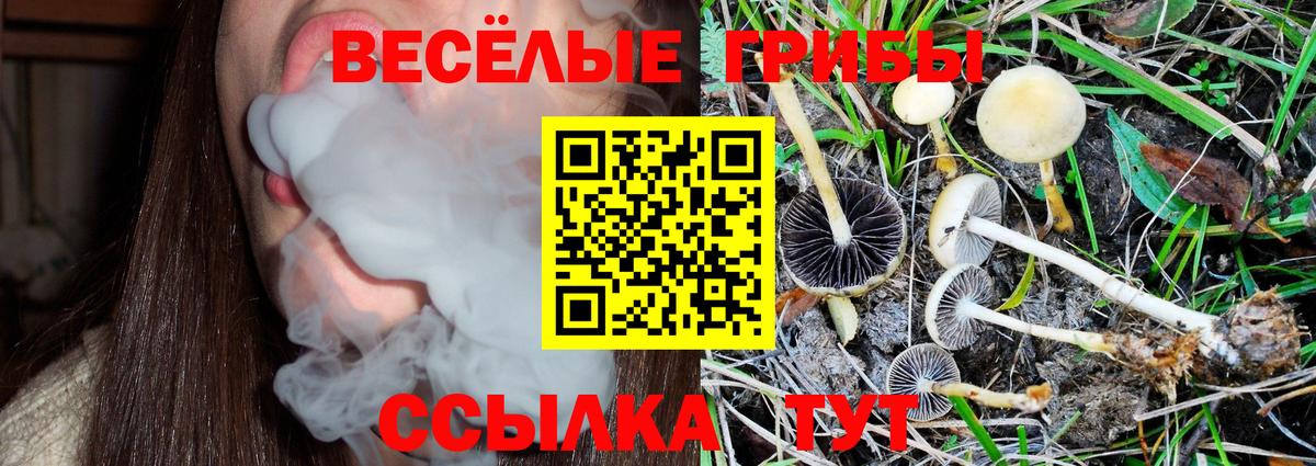 Псилоцибиновые грибы Cubensis  Вход с VPN  Псилоцибиновые грибы ЛСД  Малгобек 