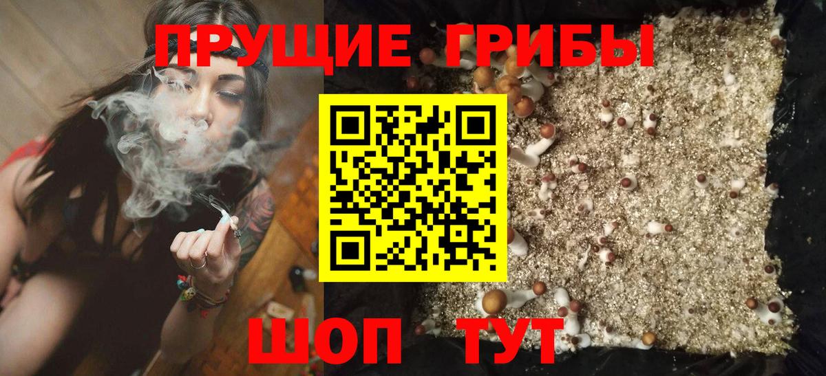 Псилоцибиновые грибы мухоморы Малгобек